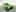 2025 BMW X6
