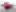 2026 Dodge Charger