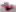 2026 Mazda MX-5 Miata