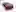 2024 Kia Carnival